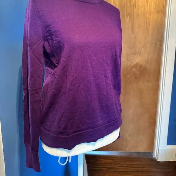 J. Crew merino Carolyn fitted crewneck sweater - Picture 2 of 5